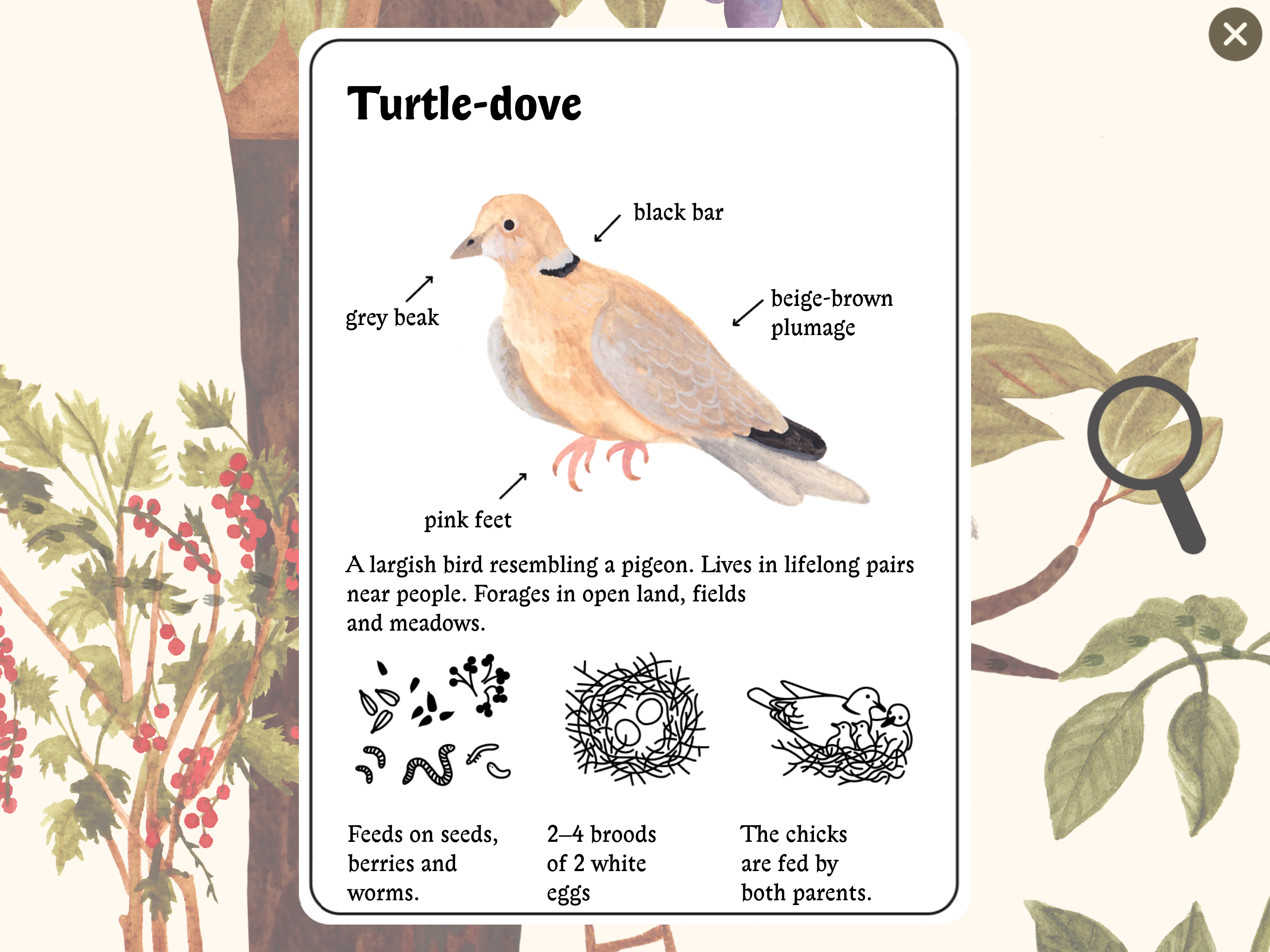littlemousesencyclopedia4.png